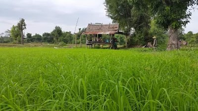Photos of ວັດເກົ້າລ້ຽວ