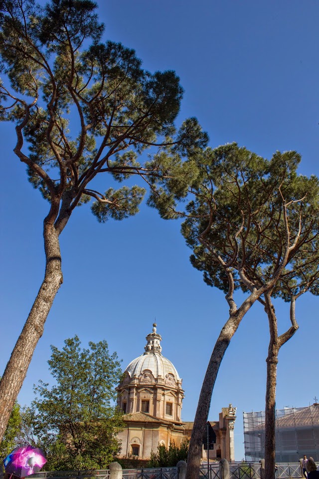 Basilique émilienne