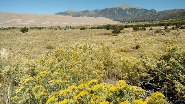 Parc national et réserve de Great Sand Dunes