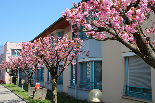 Photo de EHPAD La Cerisaie - Centre hospitalier Métropole Savoie à Saint-Jeoire-Prieuré (73190)