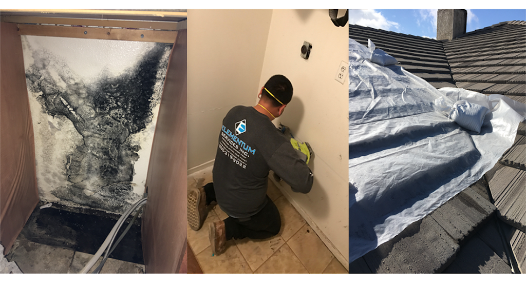 Elementum Services Inc photo