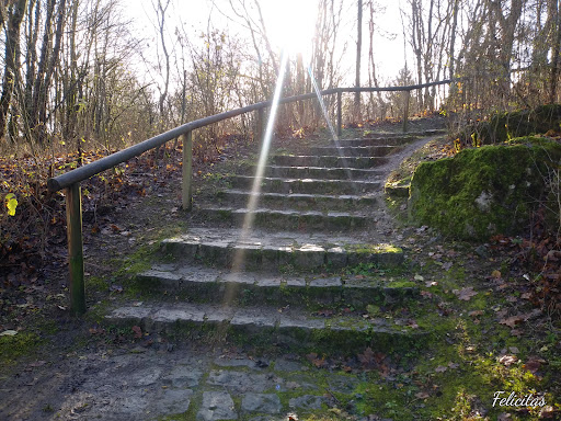 Bromberg-Rosengarten - Thumbnail