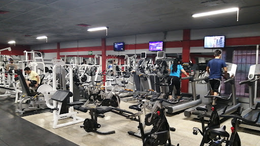 GYM FULL FORCE - Visual