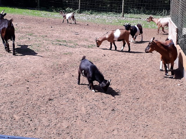 Kurpfalz Park