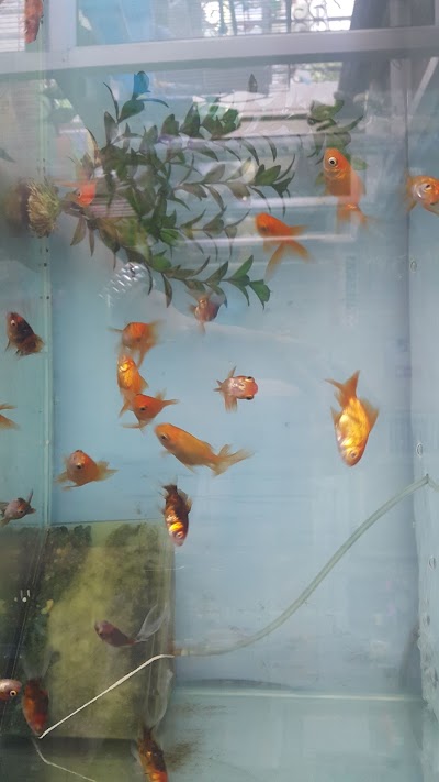 Photos of Acuario Katt&uacute;