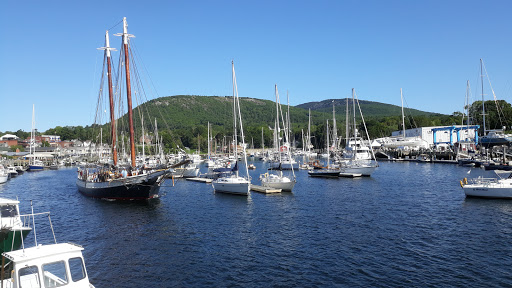 Harbor Dogs - Thumbnail