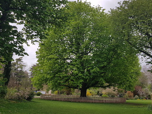 Parc de la Planchette - Thumbnail