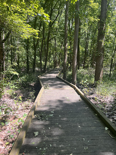 Pettigrew State Park - Thumbnail