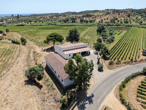 Scala vigneti e cantina