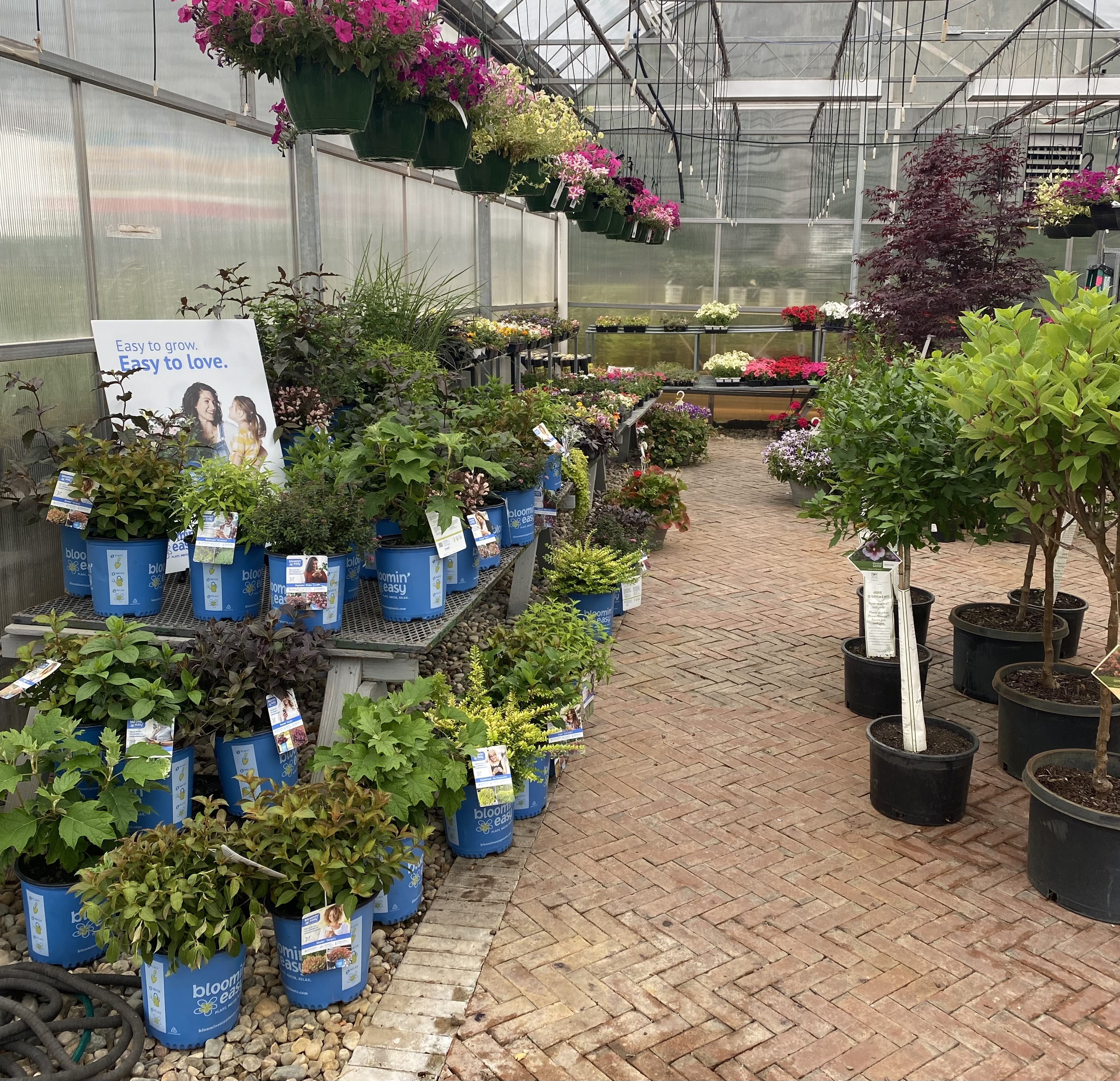 Happy Gardens Plant Nursery