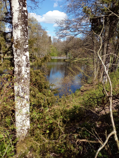 Ringbadet - Visual