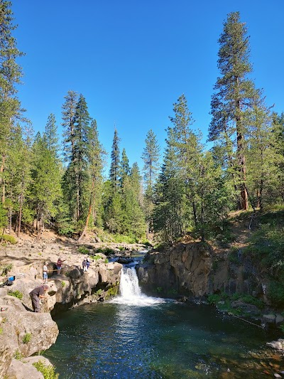 Shasta-Trinity National Forest