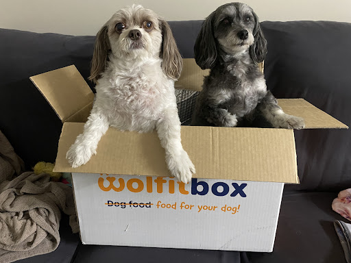 Wolfit Box | Dog Food Perth | Dog Food Subscription - Thumbnail