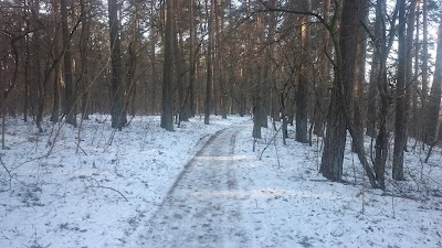 Photos of Lampėdžių mi&scaron;kas