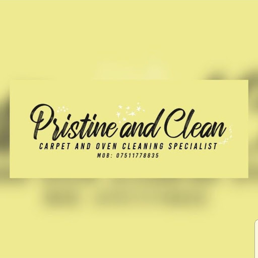 Pristine n Clean - Visual