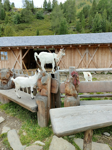 Mini Zoo - Thumbnail