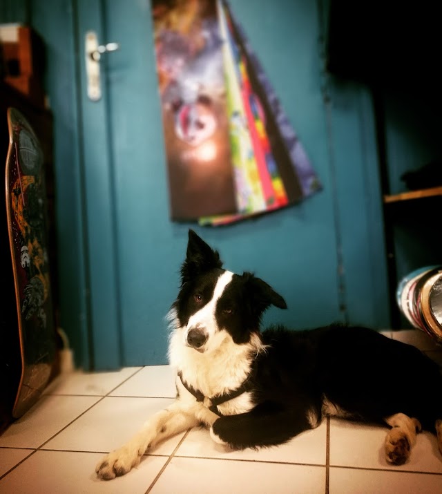 Petit Plateau skateshop