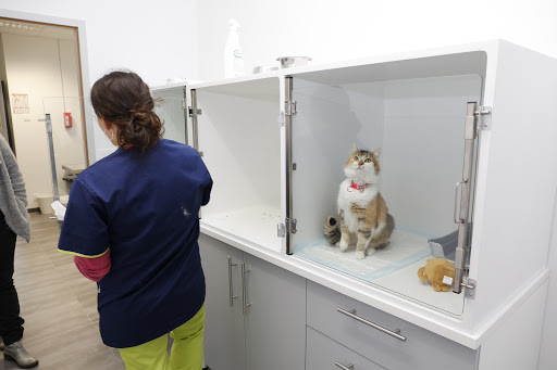 Clinique Vétérinaire VetAlouettes Les Herbiers - Thumbnail