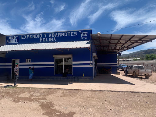 Expendio y Abarrotes Molina