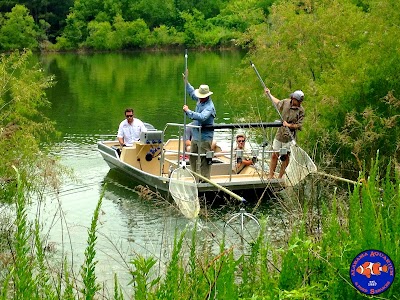 Alabama Aquarium & Pond Services