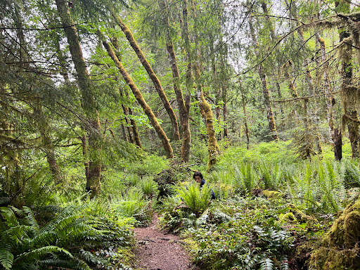 Skutz Fall parking lot trail head - Thumbnail