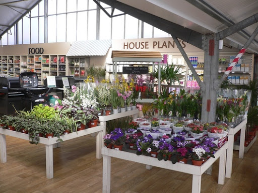 Hillier Garden Centre Newbury - Thumbnail