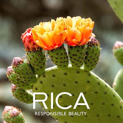 Rica Polska Akademia