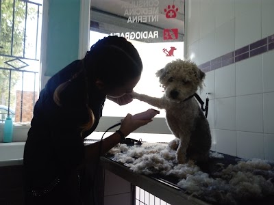 Photos of Centro Veterinario Kenia