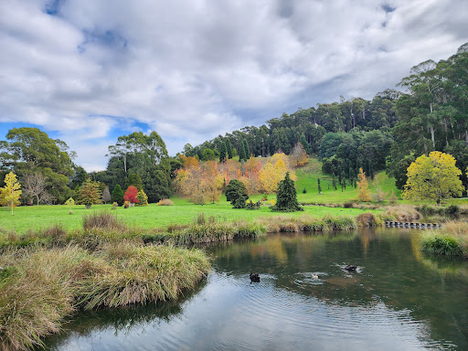 Tasmanian Arboretum - Thumbnail