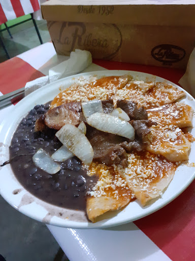Comedor " Los Ficus's "