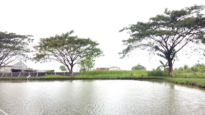 Photos of kolam pancing APS
