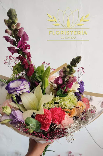 El nardo Floristería - Thumbnail