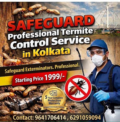 Best Termite Control Service in Kolkata | Safe & Guaranteed Treatment post image