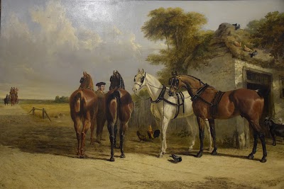 Photos of Museum of Fine Arts