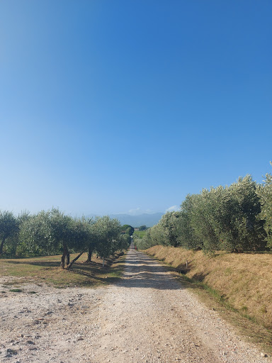 Agriturismo La Tana - Thumbnail
