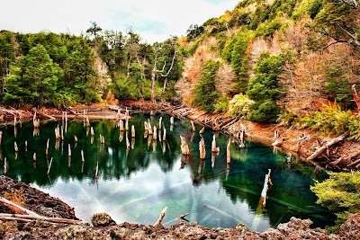 Photos of Conguill&iacute;o National Park
