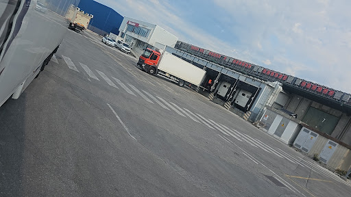 Mercator