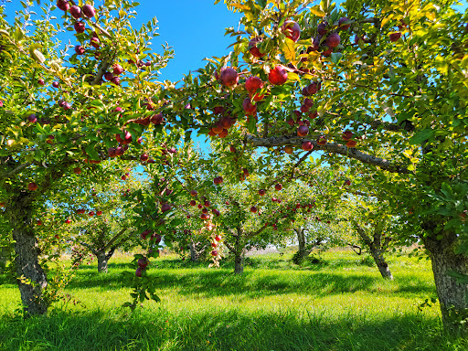 Door Creek Orchard Gallery - United States