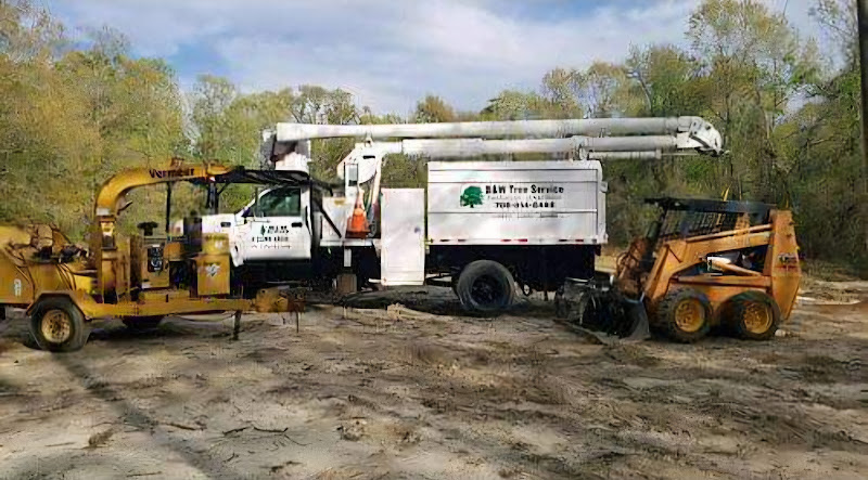B&W Tree Service