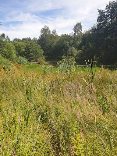 Naturschutzstation Herrenhaide - Thumbnail