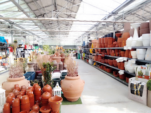 AmmiraGarden Gallery - Italy