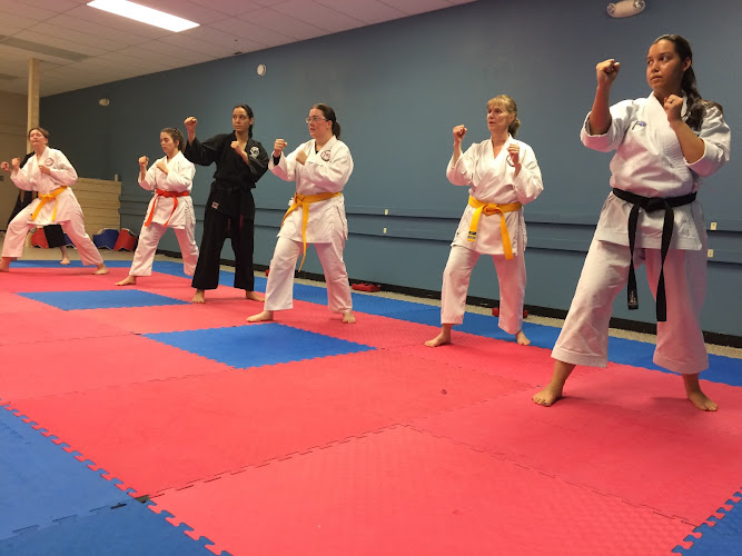 Trinity Karate Dojo - karate in Spring Branch, Texas