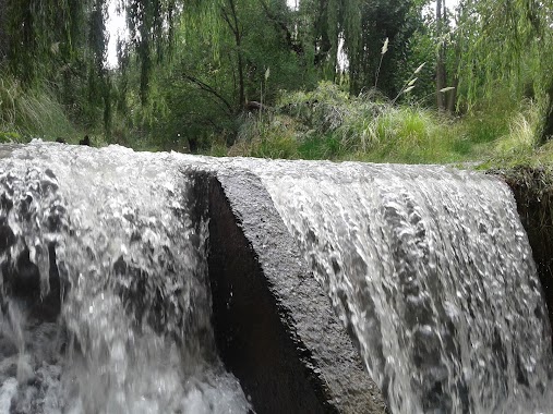 Camping Manantiales De Vida IBGC, Author: Adolfo Ledesma