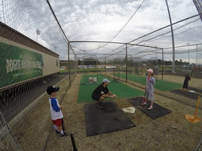 Medford Rogues Baseball Club