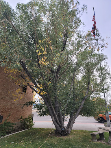 Big Piney Town Hall - Thumbnail