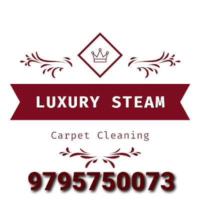 Luxury steam carpet cleaning