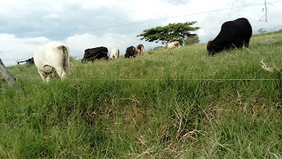 Photos of Hacienda Miraflores