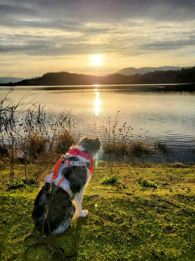 Ford Pond - Thumbnail