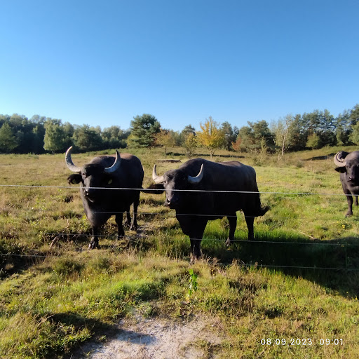 Tongrube - Thumbnail