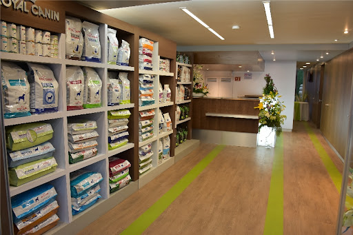 Centro Veterinario México Cirugía